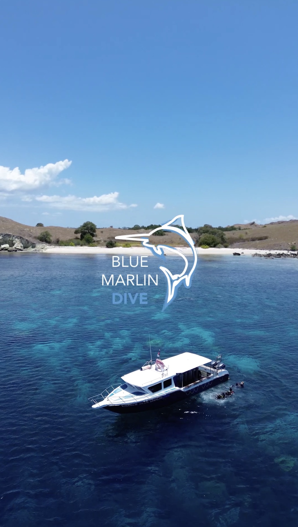 Blue Marlin Komodo content shoot